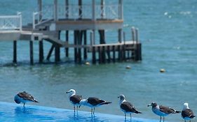 Apartamento Frente a Islas Ballestas